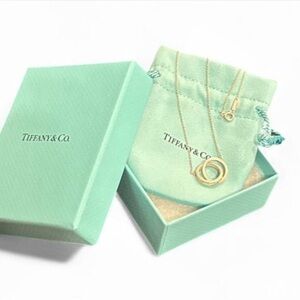 Tiffany & Company 1837 Silver Interlocking Circles Necklace